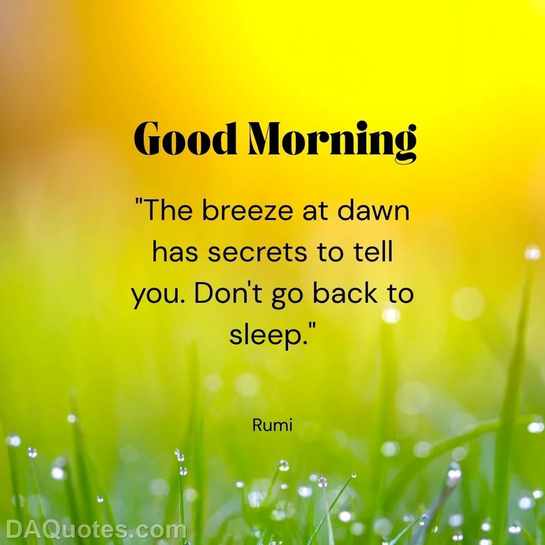 rumi Quotes Dawn,Sufi,Addiction