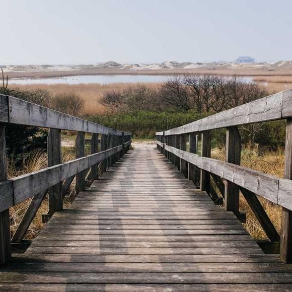 oswald chambers Quotes Faith,Next Steps,Packs