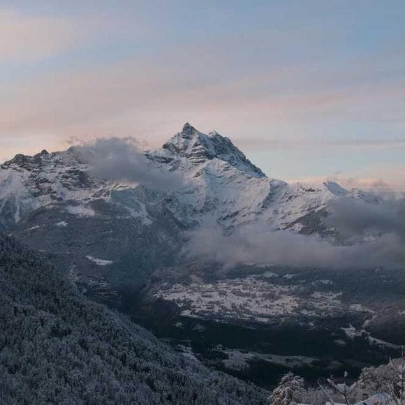 b. c. forbes Quotes Abandoned,Corporations,Experiments