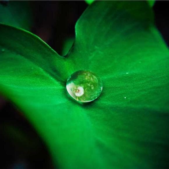 jacque fresco Quotes Gambling,Behaviour,Care