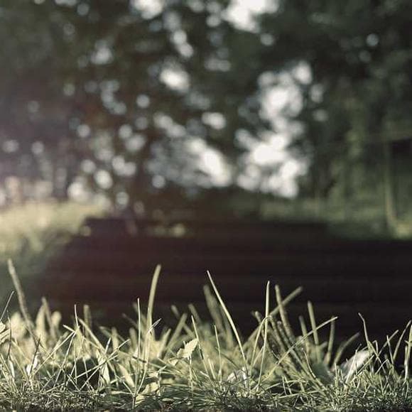 viktor e. frankl Quotes Human Freedom,Ability To Choose