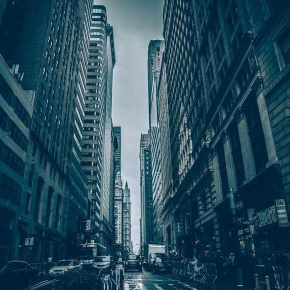 calvin coolidge Quotes Career Motivation,Careers,Adversity And Perseverance