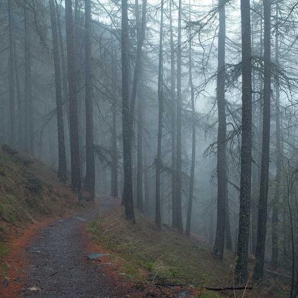 rich mullins Quotes Climbs,Abraham,Steep