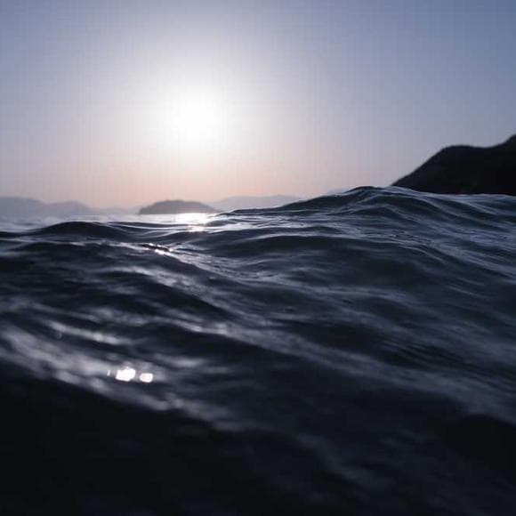 willie morris Quotes Absorbing,Geography