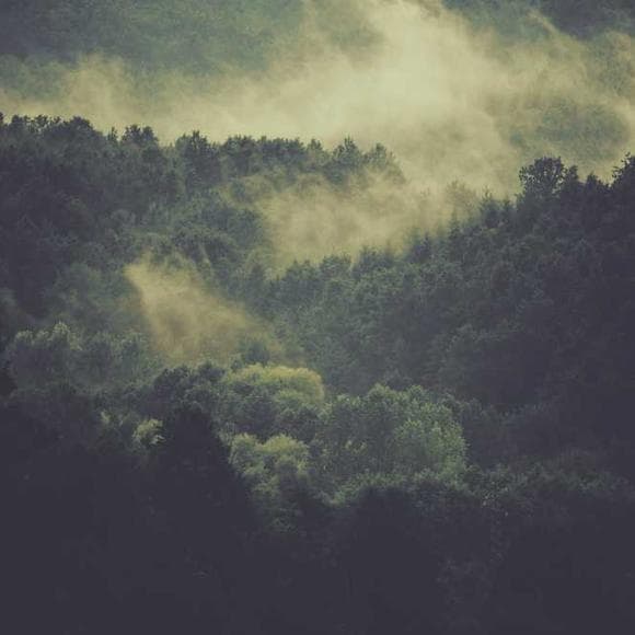 ibn ata allah Quotes Als,Whatever Happens,Resisting