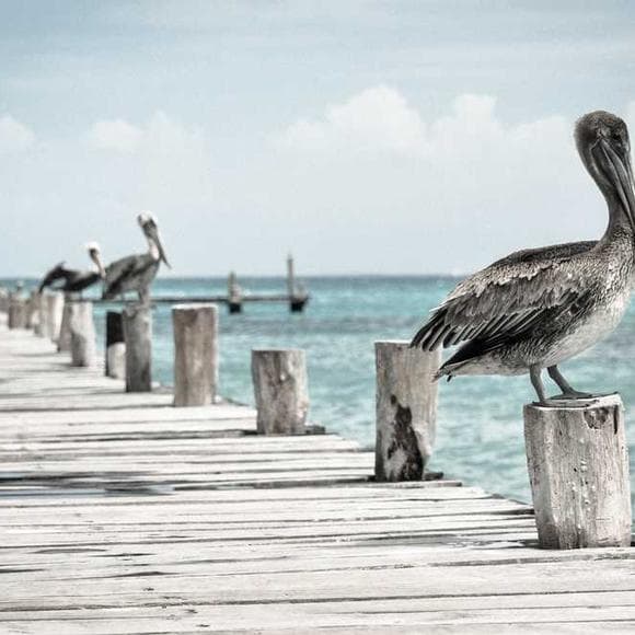 ralph waldo emerson Quotes Achievement,Be Inspired,Better Tomorrow