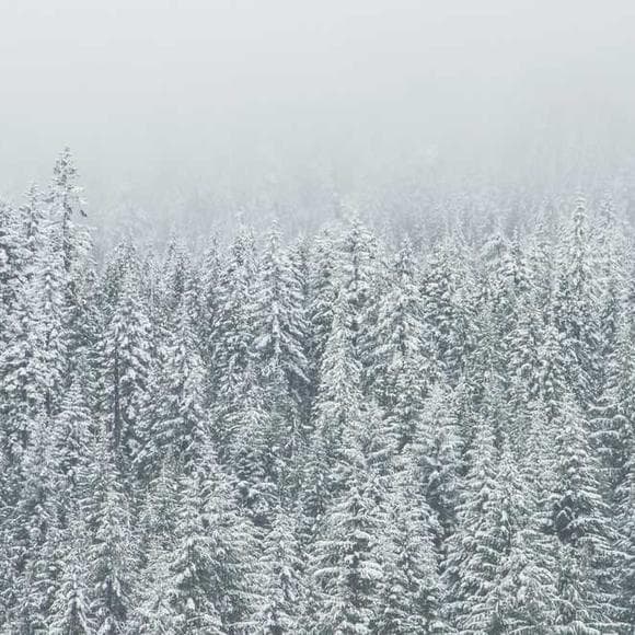 dan millman Quotes Courage,Wisdom,Abundance