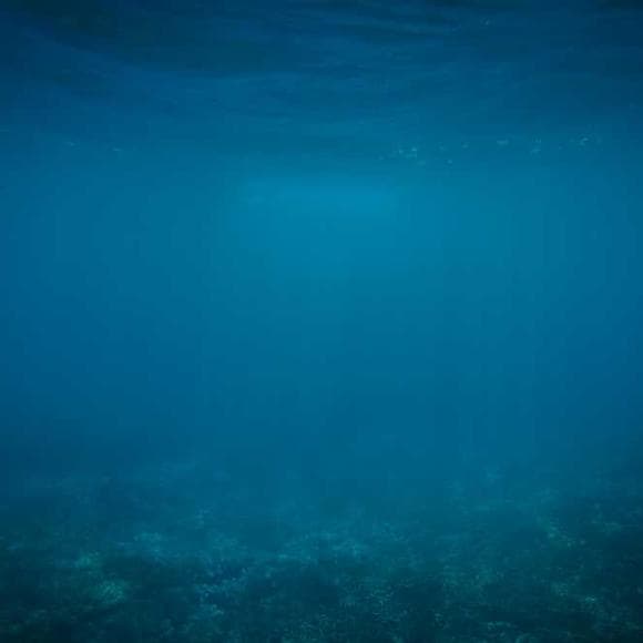 haruki murakami Quotes Instant,Claims,Memories