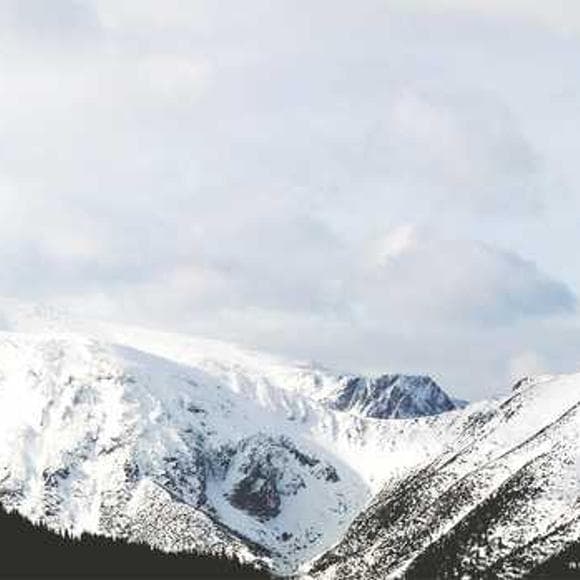 thomas friedman Quotes Accomplished,Optimist,Optimistic