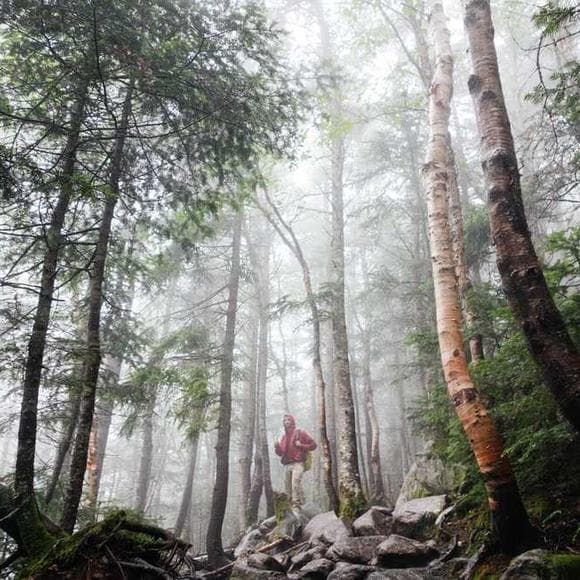 j. i. packer Quotes Accord,Knowing God,Fall Into Place
