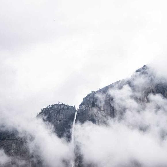jack kornfield Quotes Acknowledge,Needs,Aversion