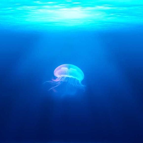 sri aurobindo Quotes Having Strength,Deeper,Acquire
