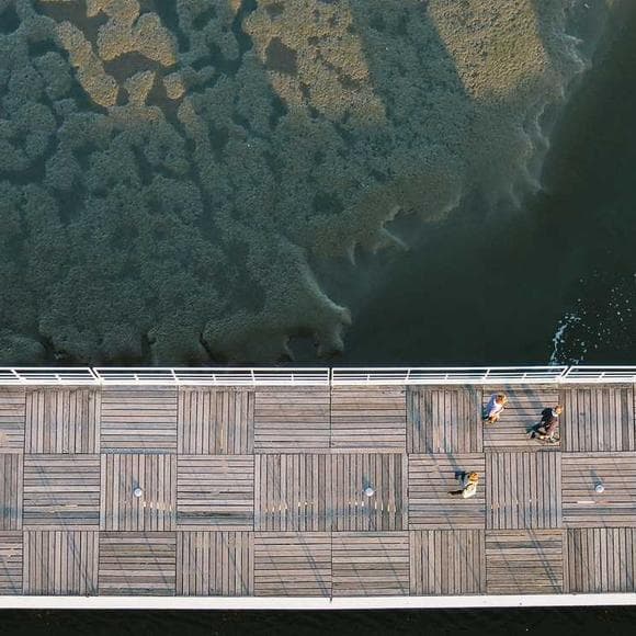 nainoa thompson Quotes Action,Ancestry,Visions Of The Future