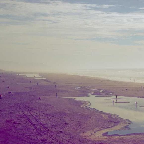 rebecca solnit Quotes East,Middle East,Practicals