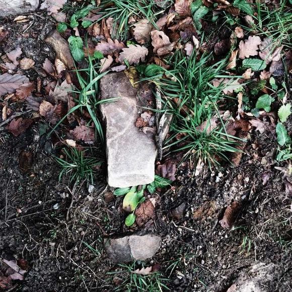 jane elliott Quotes Plastic,Los Angeles,Surgery