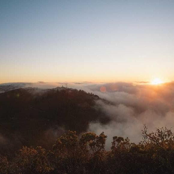 brené brown Quotes Healthy,Differences,Addiction