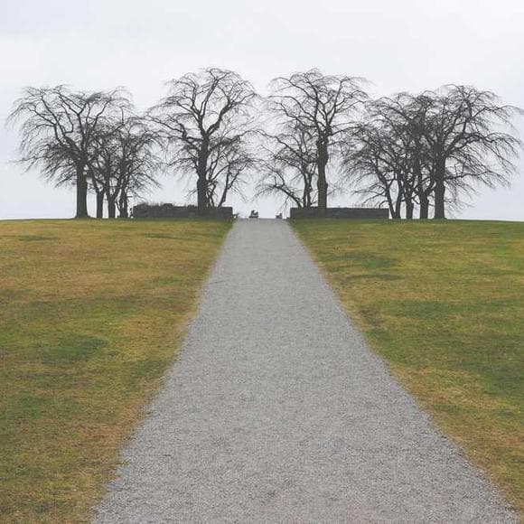 sean o faolain Quotes Imagination,Intense,Admirable