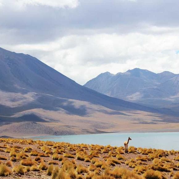 r. c. sproul Quotes Perspective,Devotion,Reverence