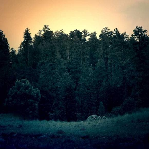 mikhail bakunin Quotes Believe In God,Furious,Dare