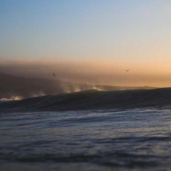 brom Quotes Risk,Having Fun,Adults