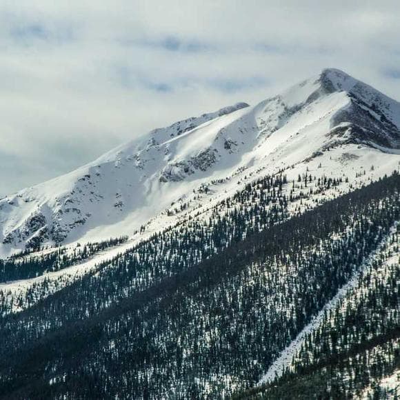 william henry harrison Quotes Inspirational Life,Peculiar,Advantage