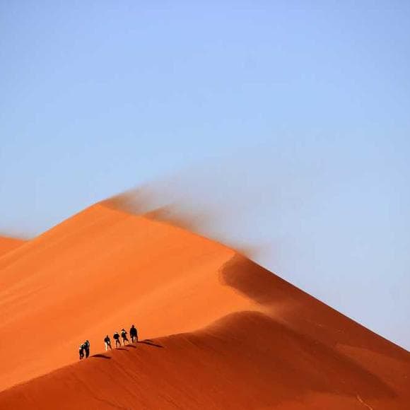 tennessee williams Quotes Adventure,Life Adventure,Adventure And Life
