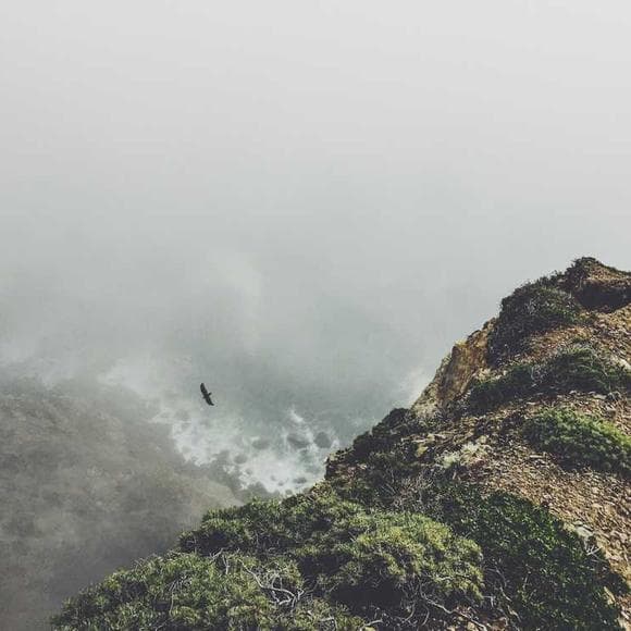 mark jenkins Quotes Adventure,Adventurous,Adventure And Life