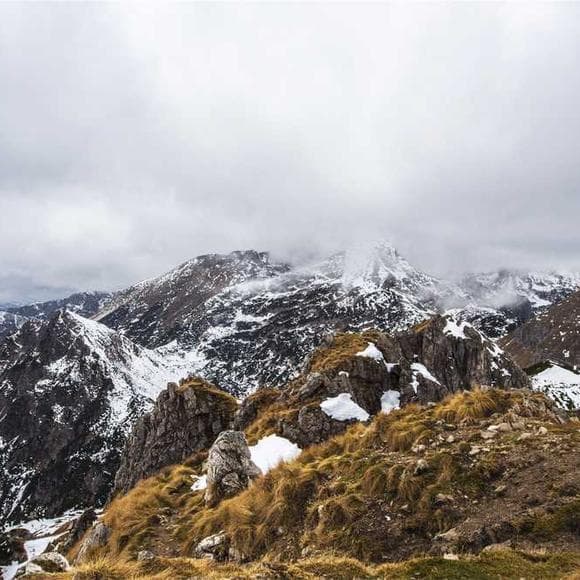 henry david thoreau Quotes Adventure,Adventure And Life,Deliberate