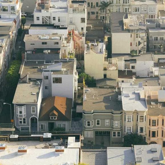 daniel levitin Quotes Aesthetic,Attributes,Lines