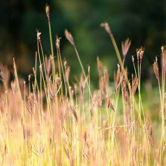 stephen jay gould Quotes Mantras,Cosmic,Messages