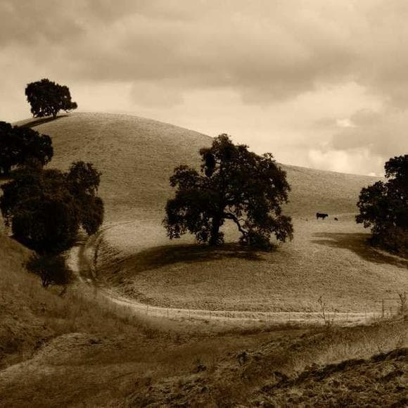 nhat hanh Quotes Differences,Peace,Our Planet