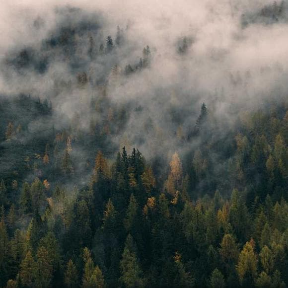 henry david thoreau Quotes Air