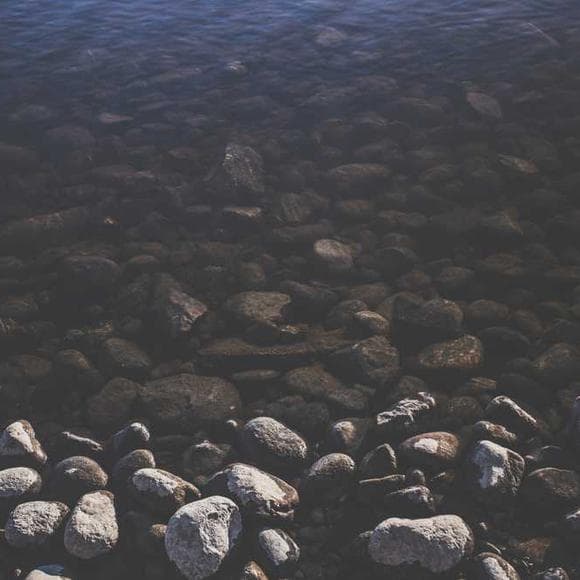 cormac mccarthy Quotes Foolishness,Repeats,Greed