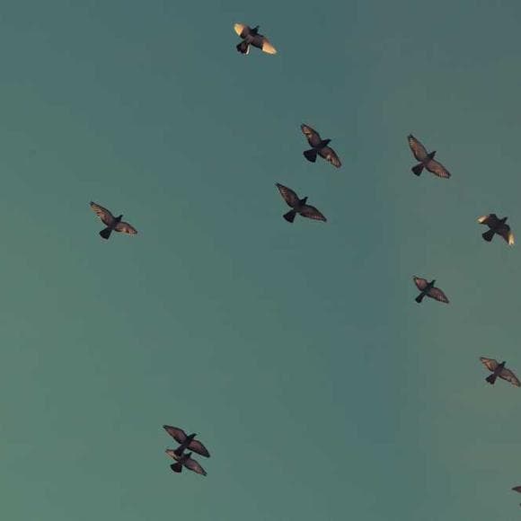 cormac mccarthy Quotes Shapes,All The Pretty Horses,Random Events