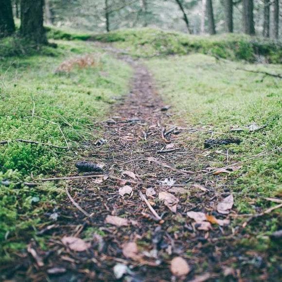 j. r. r. tolkien Quotes Healer,Riders,And Love