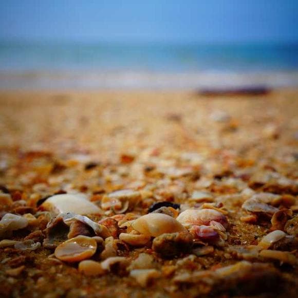 idries shah Quotes Boring,Boredom,All Things