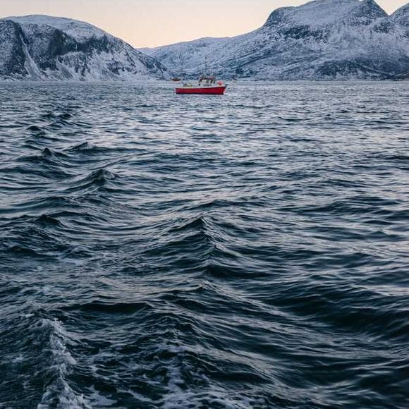 taryn simon Quotes Compelling,Severe,Photography