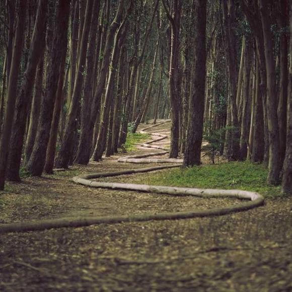rebecca solnit Quotes Environmental,Gym,Commerce