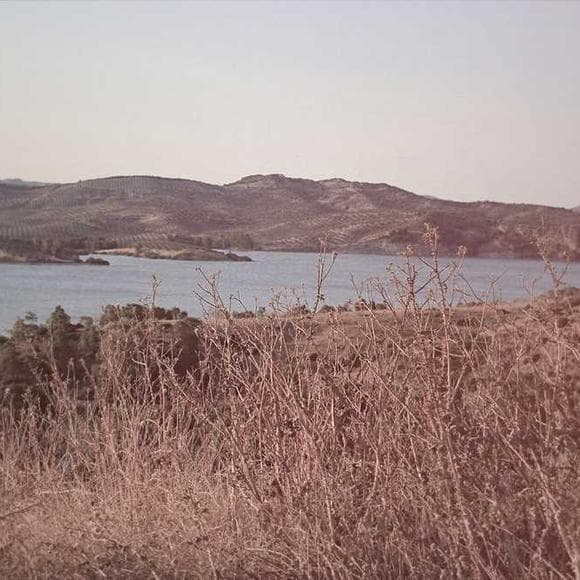 harry callahan Quotes Amount,Seminars,Photography