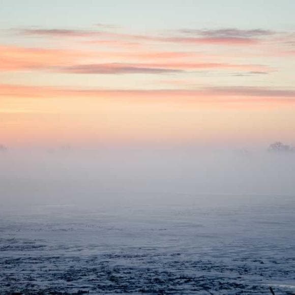 nalini singh Quotes Humans,Kind,Cold
