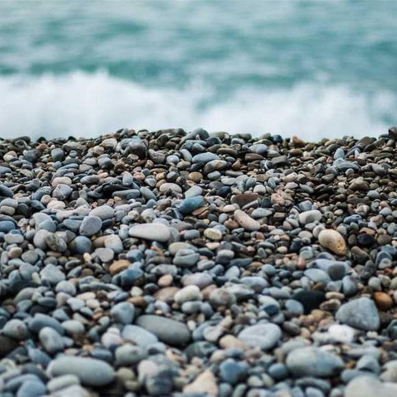 pema chodron Quotes Inherent,Appreciation,And Love