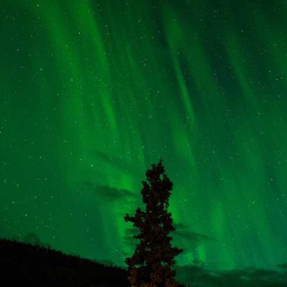 robert macneil Quotes Hiking,Journey,Clothings