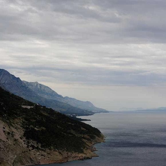 jared diamond Quotes Starting,Harbors,Materials