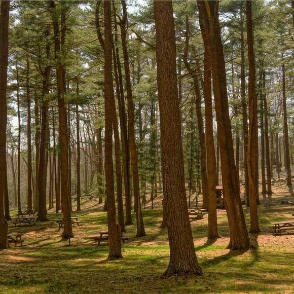 david w. orr Quotes Complicated,Environmental,Careful