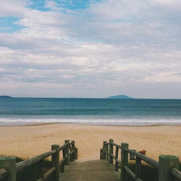 lewis gordon Quotes Islands,Swim,Hardest