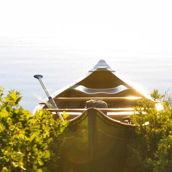 mitch hedberg Quotes Mobile,Tents,Cottages