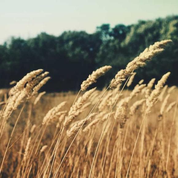 henri poincare Quotes Senses,Appearance,Intimate