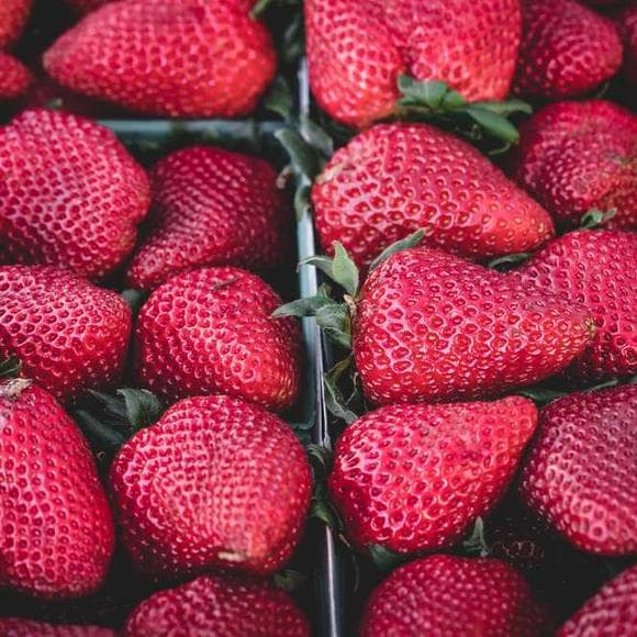 ivan turgenev Quotes Food,Illness,Appetite