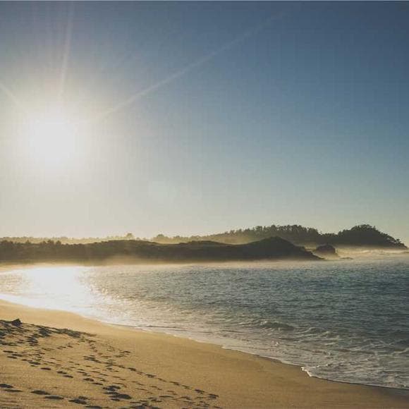 louise hay Quotes Founders,Gratitude And Appreciation,Gratitude