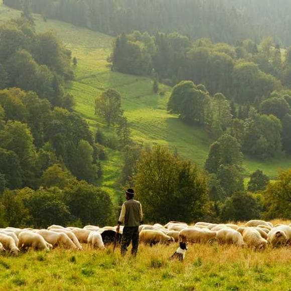 c. s. lewis Quotes Compliment,Countryside,Walkers